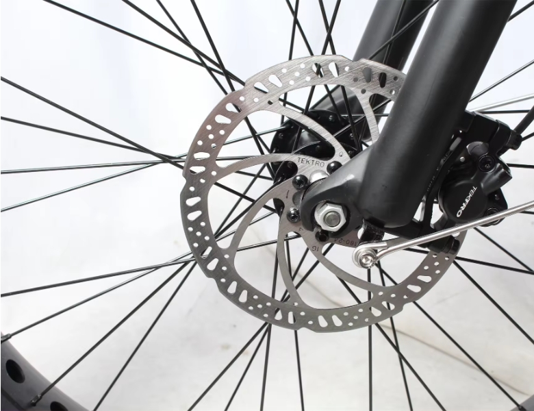 9 Speed Electric Bike 26"*4.0 Fat Tire Ebike Electric Mountain Bike 48V 750W 1000W Electric Bike For Adults
