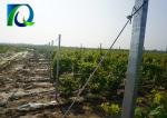 70x40MM HDG Vineyard Trellis End Posts Orchard Poles With Matched Accessories