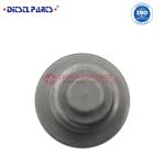 High Qaulity Fuel Pump Delivery Valve 131110-0520 161S1 diesel Fuel Injection