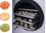 Small Vacuum Home Food Stayfresh Freeze Dryer 4Kg 6Kg