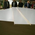 Commercial E2 Glue Moisture 6% Melamine Faced Plywood