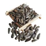 Amazon hot sale Sell high-quality sunflower seed raw materials that meet Egypt's