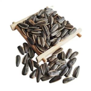 Quality Amazon hot sale Sell high-quality sunflower seed raw materials that meet Egypt's import requirements wholesale