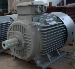 Quality IP54 Permanent Magnet Alternator Magnet Generator Energy Efficient wholesale