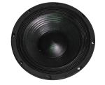 300W RMS 8 Inch Midbass Speaker