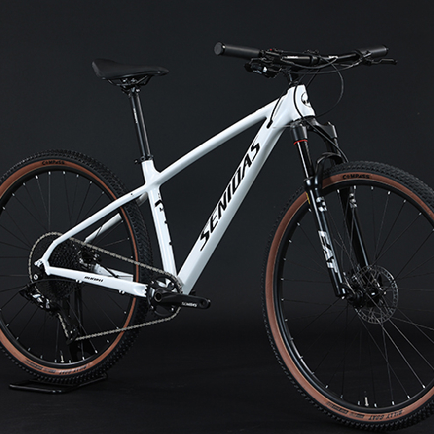 11-52T Gears Range Downhill Mountain Bike with Shimano Shifter and Ordinary Pedal