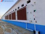 Poultry Farm Chicken Feeding Line Automatic Poultry Pan Feeding System