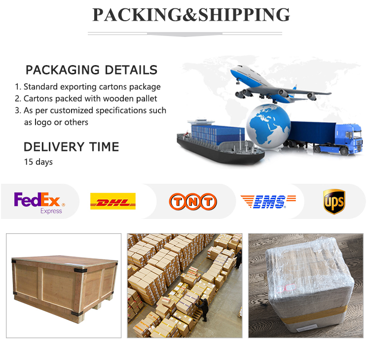 OEM Accepted Stainless Steel Powder Metallurgy Parts for Customized Car Accessories