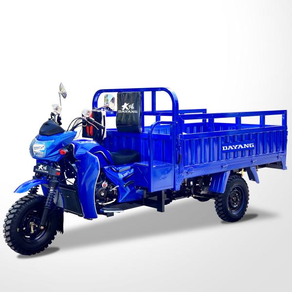 Motorized 800 W DAYANG 300 Petrol 3 Wheel Motorcycle and Tricycle for Heavy