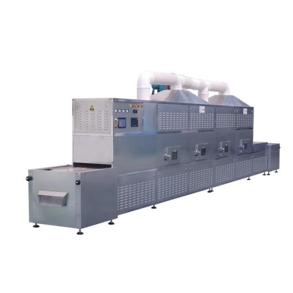 Stainless Steel Belt Continuous Microwave Dryer Sterilization Conveyor Dryer