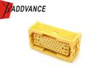22AWG Waterproof Automotive Connectors 48 Pin Female