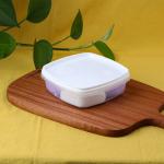Frozen 250ml Square Household Small Capacity Food Crisper Container Box