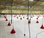 Fully Automatic Animal Feeders Plastic Chicken Feeders And Drinkers