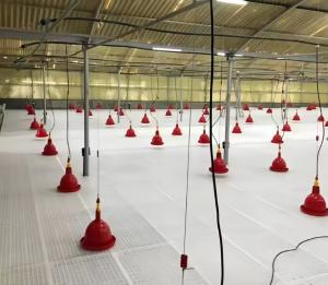 Quality Poultry Farm Plastic Slatted Floor , Poultry Slatted Floor For Chicken House wholesale