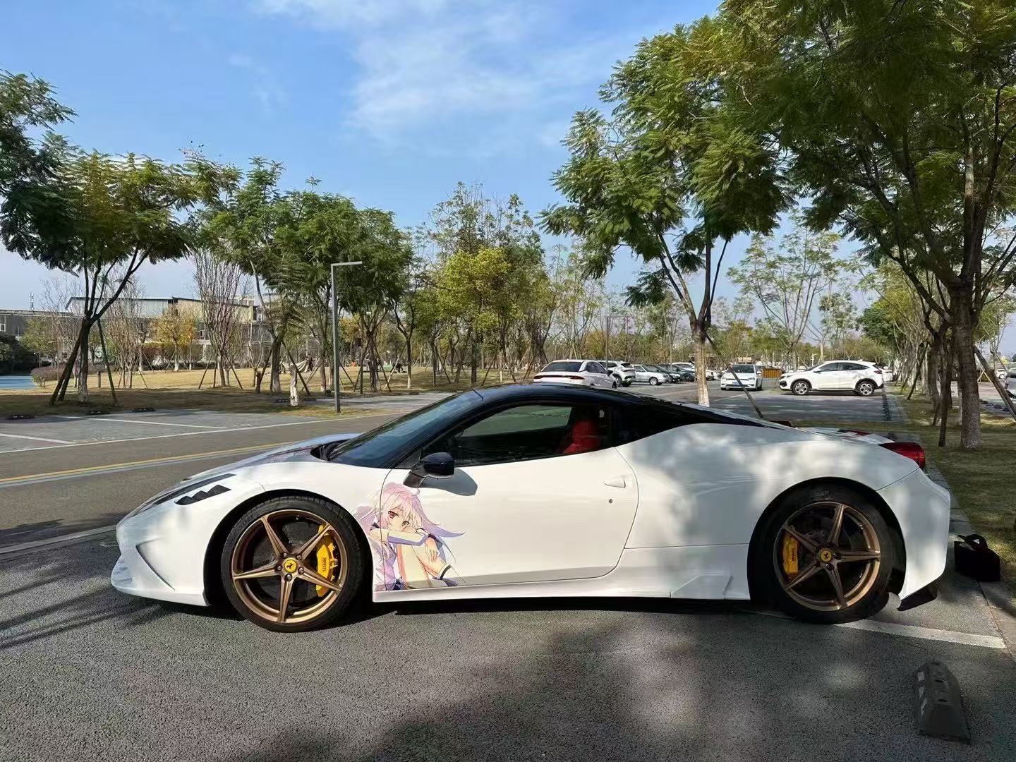 Ferrari 458 Body Kit SP Style Carbon Fiber Front And Rear Bumper Spoiler Hood 2010-2014