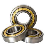 High Speed Cylindrical Roller Bearings N205 N220 N200 Series Gcr15 N206 Bearing