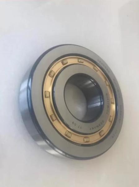 ELECTRIC TOOLS NJ411M/C4 BRASS CAGE ROLLER BEARING CYLINDRICAL ROLLER BEARINGS