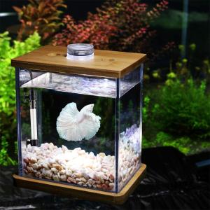 Quality 50 Watt Adjustable Submersible Heater For Turtle wholesale