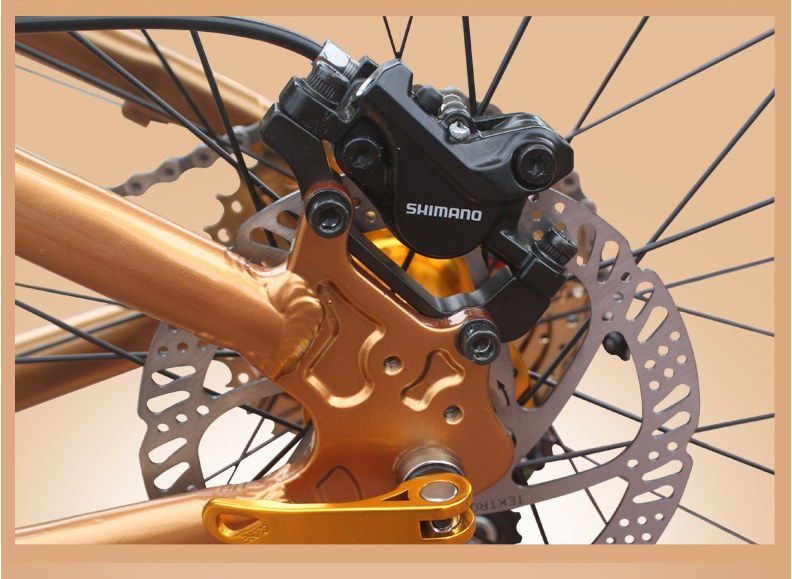 Private Label OEM 1000W 29 Inch Electric Mountain Bike