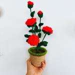 New Creative Luxury Handmade Crochet Knitting Plants Flowers Handicraft Home