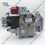 Genuine Diesel PT Pump Fuel Injection Pump 3075537 For Cummins KTA38 KTA50