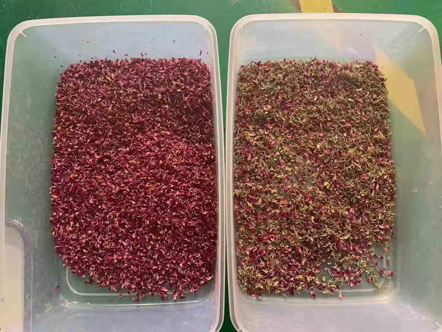 The Latest Bean Color Sorter Machine In China