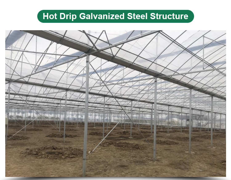 95% Transmittance Agricultural Plastic Film Greenhouse With Film Cover Material