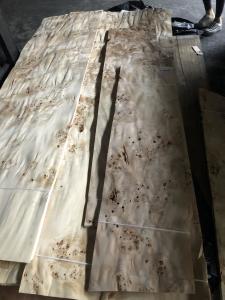 Quality Poplar Burl Fine Natural Wood Veneer Odorless Thickness 0.45mm wholesale