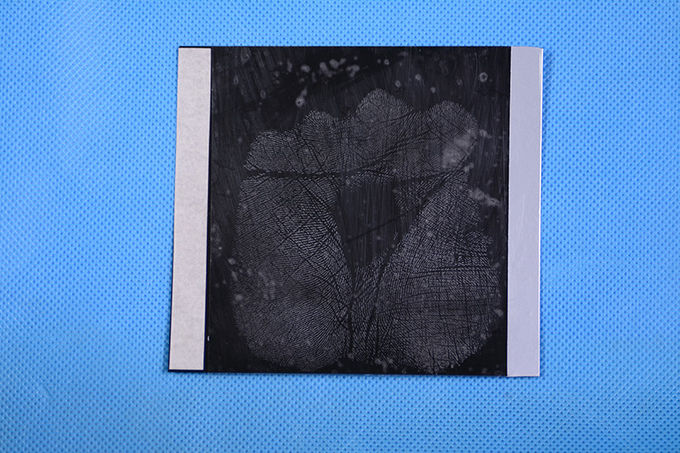 C177 Black Palm print hinge lifter