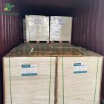 160gsm 180gsm Braille Paperboard High Whiteness Offset Printing Sheets