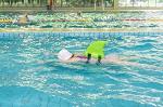 EVA Shark Swim Monofin Aid Pool Animal Swim Ring Float Toy For Girls / Boys