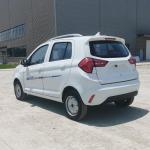 Raysince high end quality vehicle electric wholesales cheap price fast electric