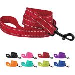 Heavy Duty Nylon Dog Leash