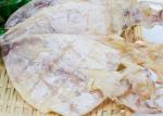 Salt Whole Dried Squid Todarodes Pacificus 18% - 20% Moisture