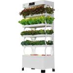 Veggiefloe Smart Hydroponic Vegetable System - The Best Choice For Healthy