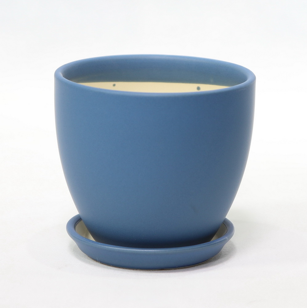 Beauty And Functionality Of Ceramic Pots For Any Plant Shop Small Size