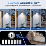 3CCT Adjustable Wall Pack LED Outdoor Lights 100W Waterproof