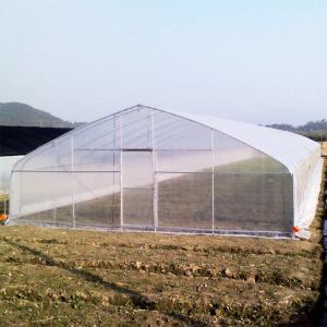 Quality Greenhouse Tunnel Single-span Plastic Film for Agricultural Vegetables and Fruits wholesale