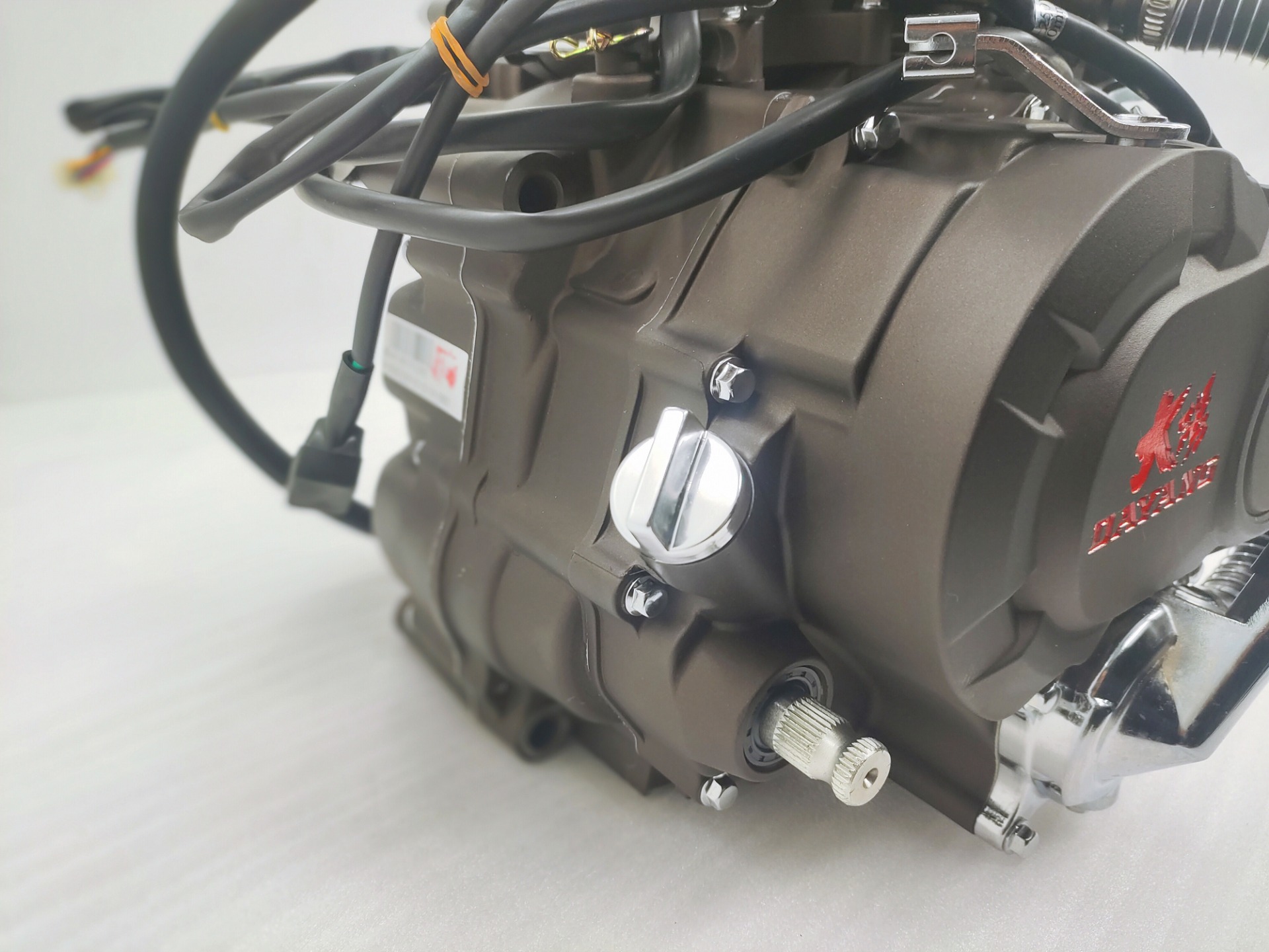 Max.Power 10.2/8000 Gasoline Tricycle Engines Assembly from DAYANG for Chinese Motorcycles