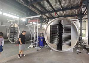 Quality Medium Industrial Vacuum Freeze Drying Machine Food Vegetable wholesale