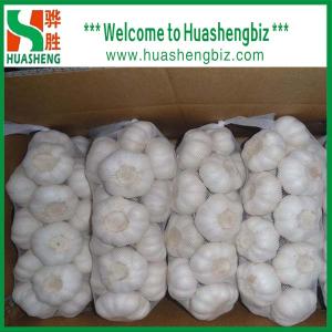 Quality Normal white garlic wholesale