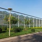 24 X 24 24 X 18 20x30 Venlo Custom Glass Greenhouse Cover Sides Polycarbonate
