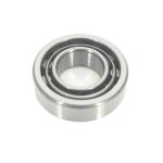 High Speed Cylindrical Roller Bearings N205 N220 N200 Series Gcr15 N206 Bearing