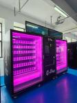 Door-to-Port Shipping Snack Food Vending Machine With Top Screen OEM/ODM