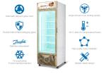 Supermarket Refrigerated Showcase Ice Cream Upright Display Freezer Commercial