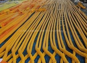 Quality Marine mooring high strong 12 strand UHMWPE rope for ship wholesale