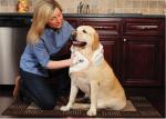 Personalised Microfibre Dog Towel Set , Embroidered Cat Bathroom Towels