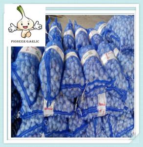 Quality Fresh Garlic - Normal white garlic,low price,10kg,20kg mesh bag,good quality wholesale
