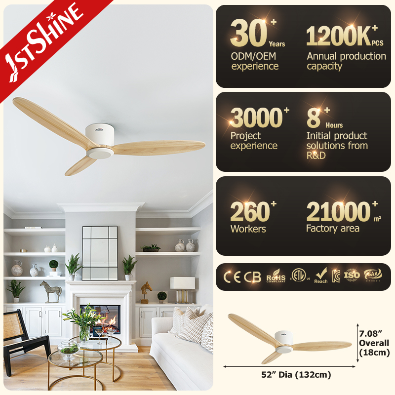 ceiling fan