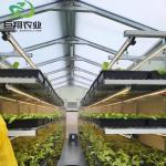 Hydroponic Planting Multi Span Greenhouse for Vegetables/Tomato 200 Microns Film
